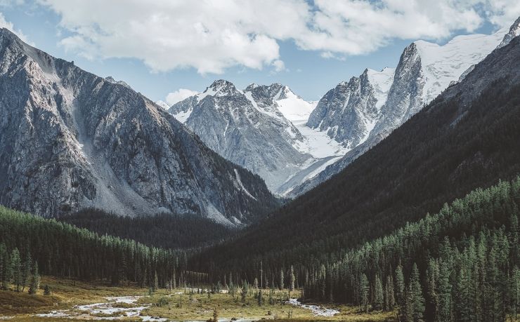移民马来西亚中介